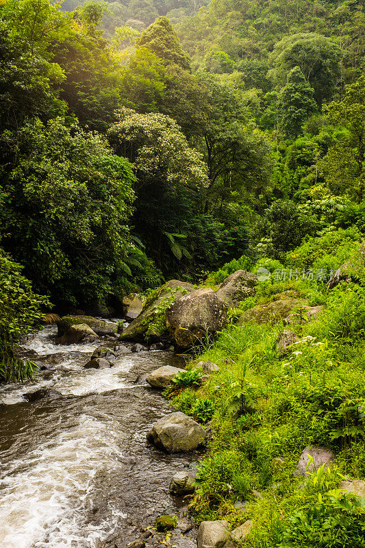 Madakaripura瀑布小溪
