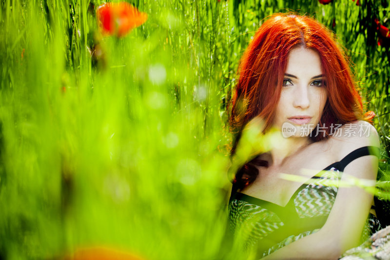 美丽的红发女人的肖像罂粟田