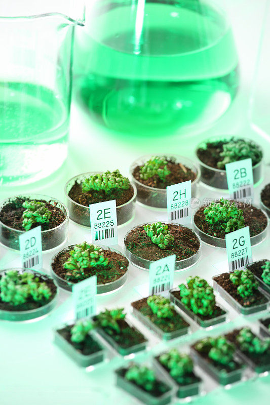 转基因生物、植物和种子生物技术实验