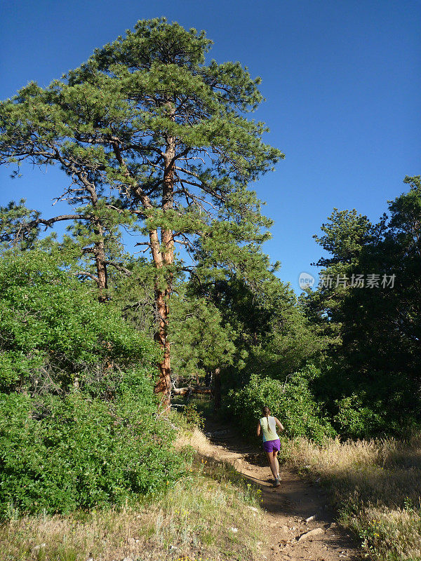 科罗拉多落基山脉，莫里森的猎鹰山