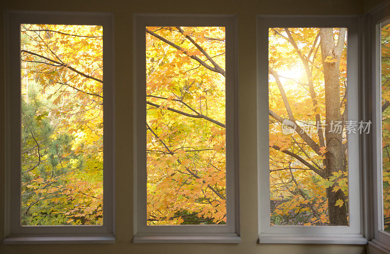 秋色透过门廊的纱窗。