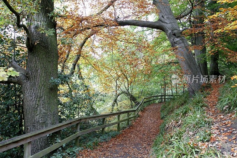 克莱蒙德的杏仁河步道