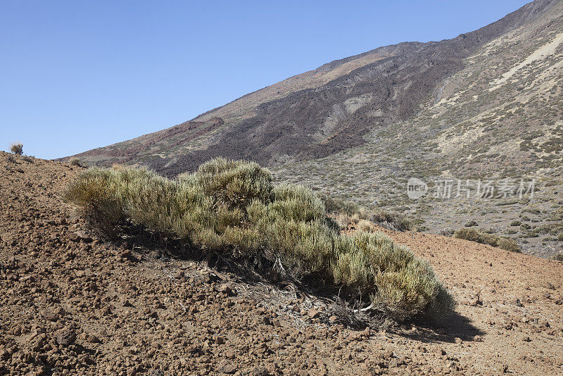 泰德火山口