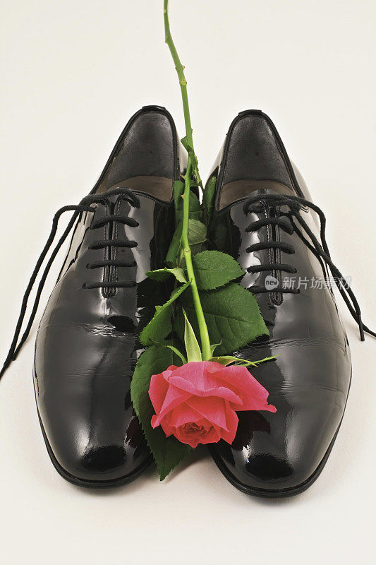 漆皮皮鞋和一朵红玫瑰。
