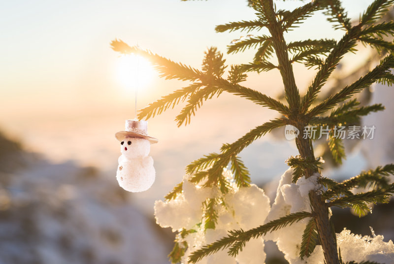 圣诞雪人挂在圣诞树外面