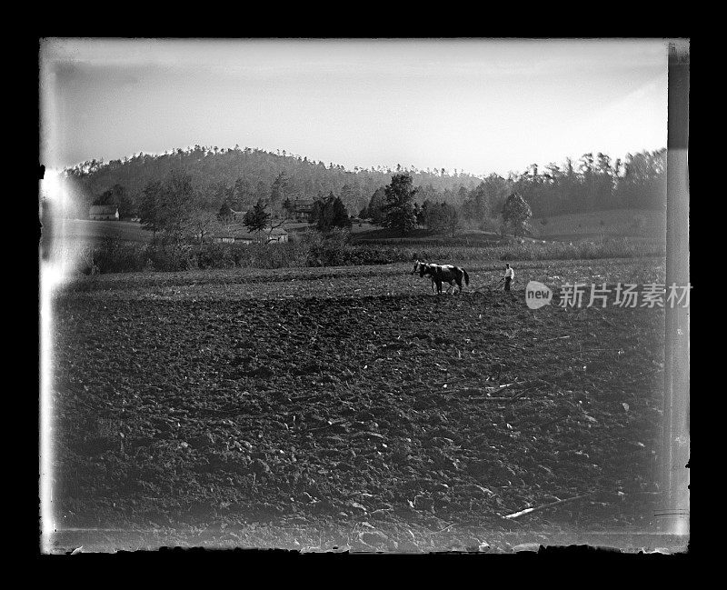 农夫犁地，约1890年