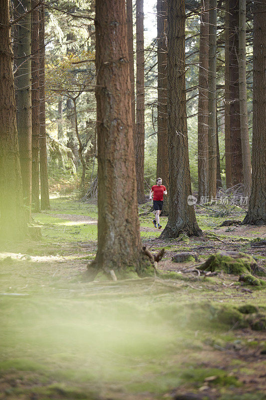 人类在森林中奔跑
