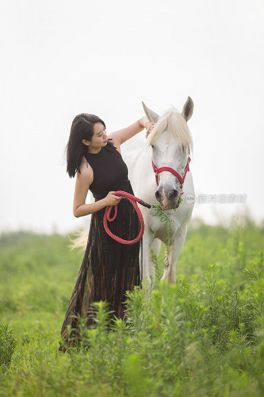 本质上的女人和马