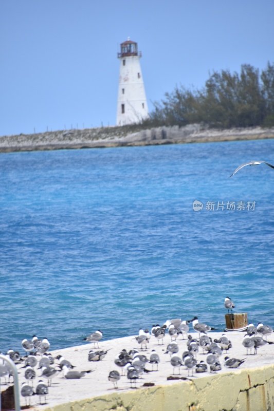 巴哈马拿骚岛的灯塔