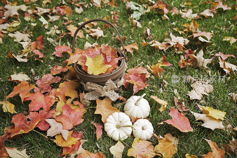 柳条篮子，彩色枫叶和白色的葫芦