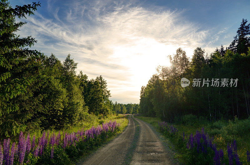 瑞典的风景