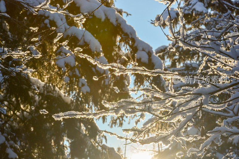 寒冷下雪天的明媚阳光