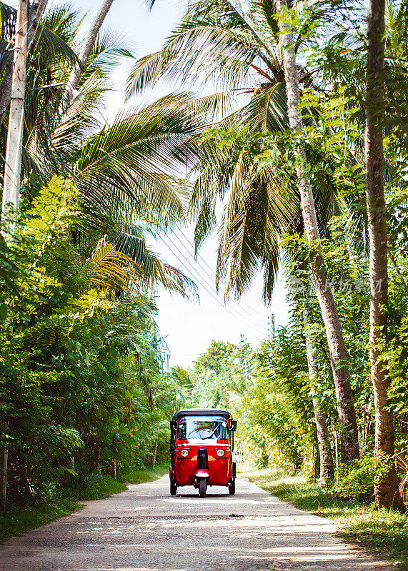 红色嘟嘟车在乡村公路上的棕榈树下