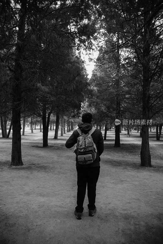 年轻的旅行者徒步进入森林与背包沿着小路(黑色和白色调)