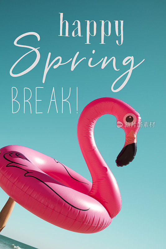 粉红火烈鸟和短信祝春假快乐