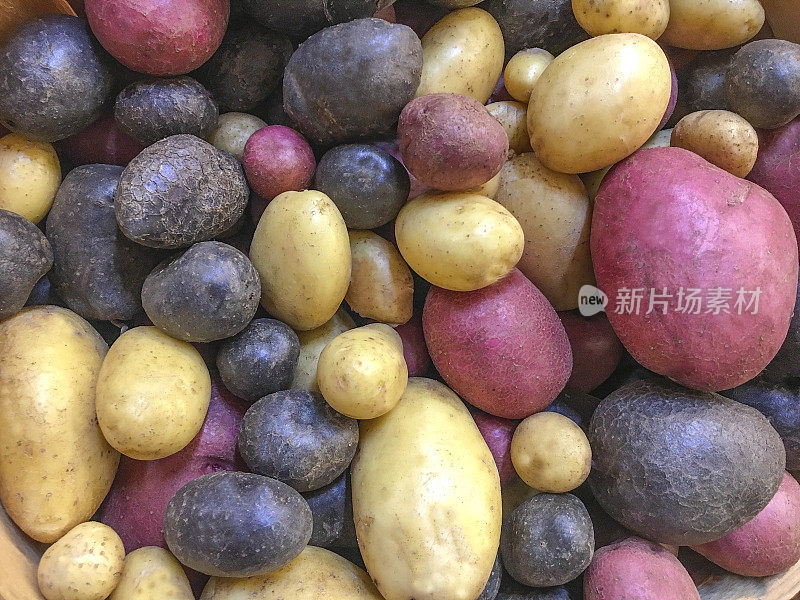 色彩斑斓的土豆