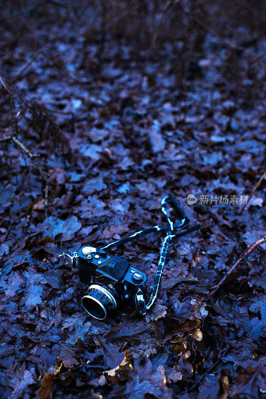 老式单反相机落在覆盖着棕色树叶的森林地面上。前视图。