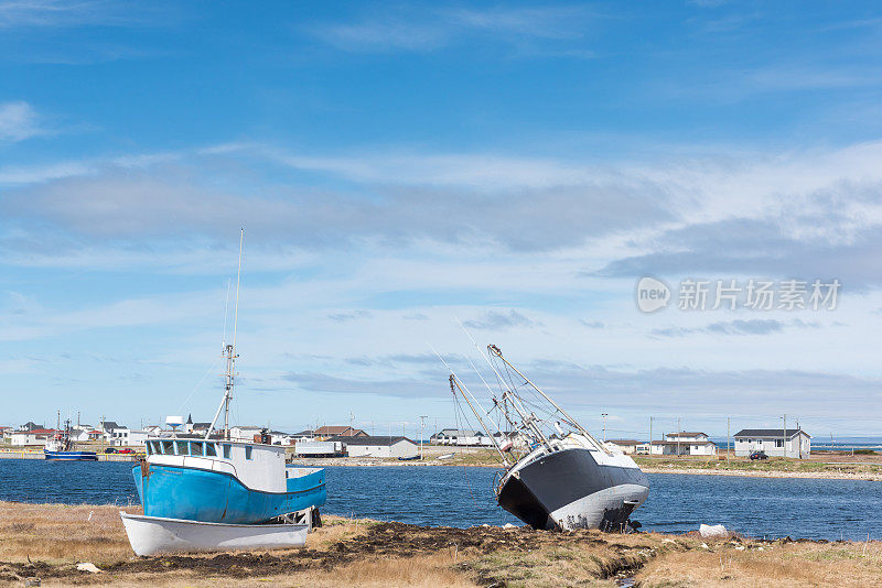 花的海湾