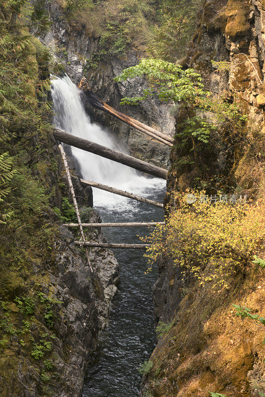 瀑布峡谷小夸里克姆瀑布省公园河温哥华岛不列颠哥伦比亚省