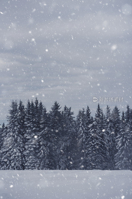 雪暴风雪