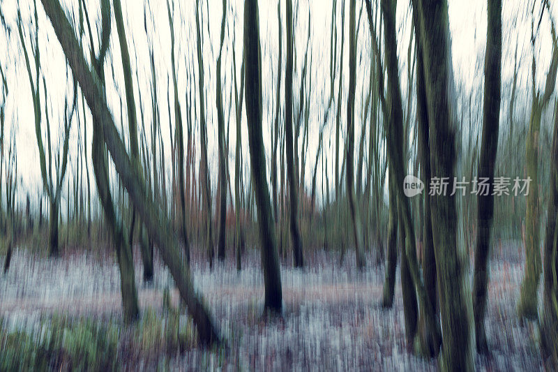 背景运动模糊冬季林地抽象。