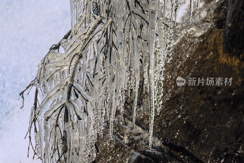 沸腾的瀑布映衬着冰冻的树木