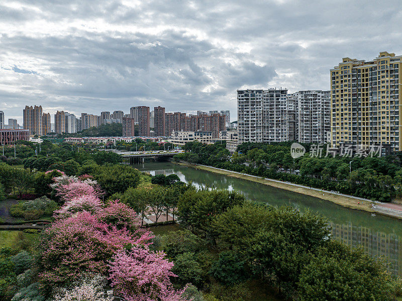 生态公园旁的城市建筑