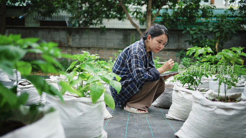 亚洲女园丁使用数码平板电脑检查她的植物和检查花园里作物的信息。