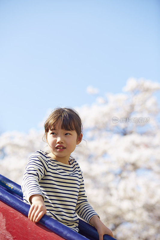 女孩在樱花盛开的公园滑下滑梯
