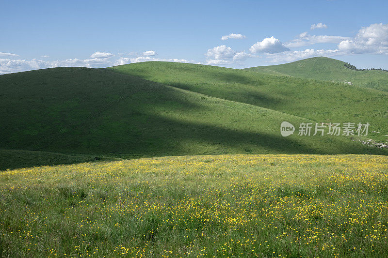 山上的花草地