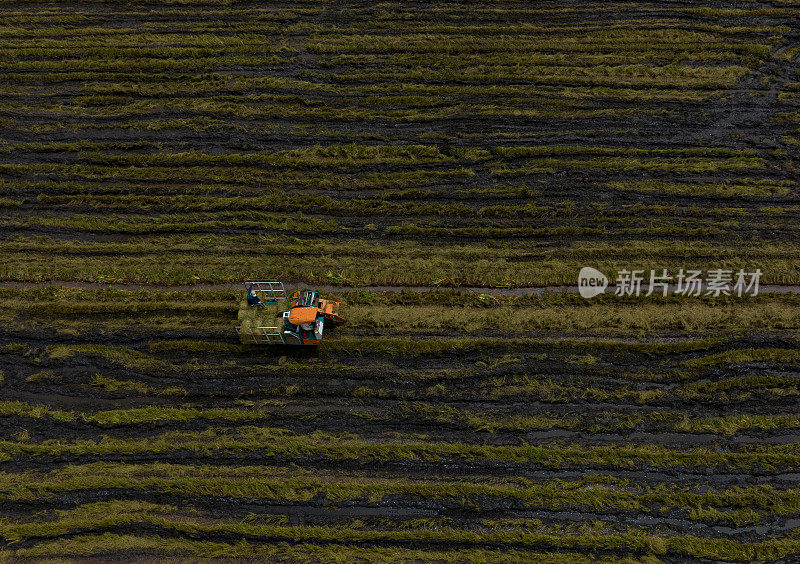 摘要航拍照片的稻草碾压机在田地里运行，创造秸秆从收获的水稻，天江省