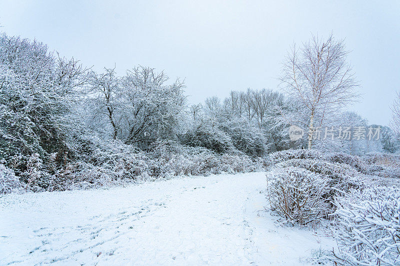 一个寒冷的早晨，本季的第一层雪