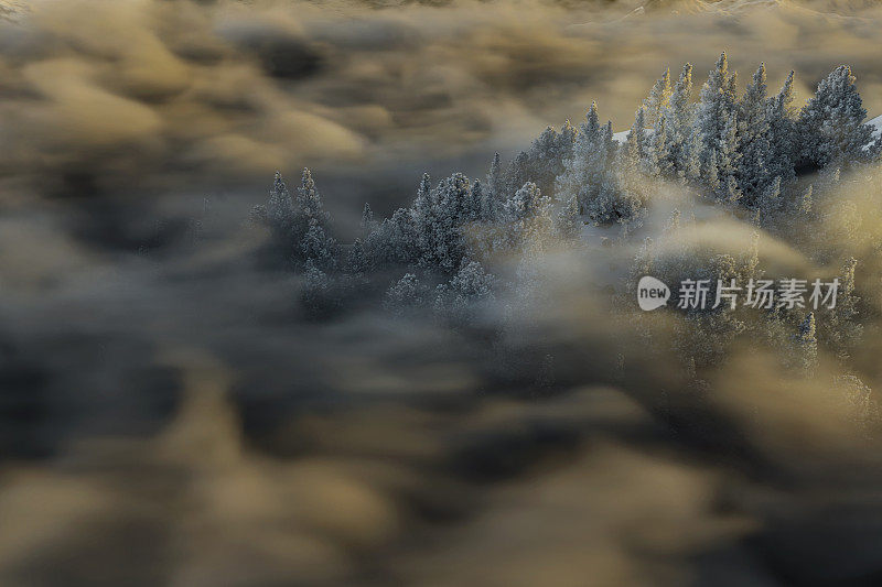 在晨雾笼罩的小山上，一个结霜的森林的3D渲染