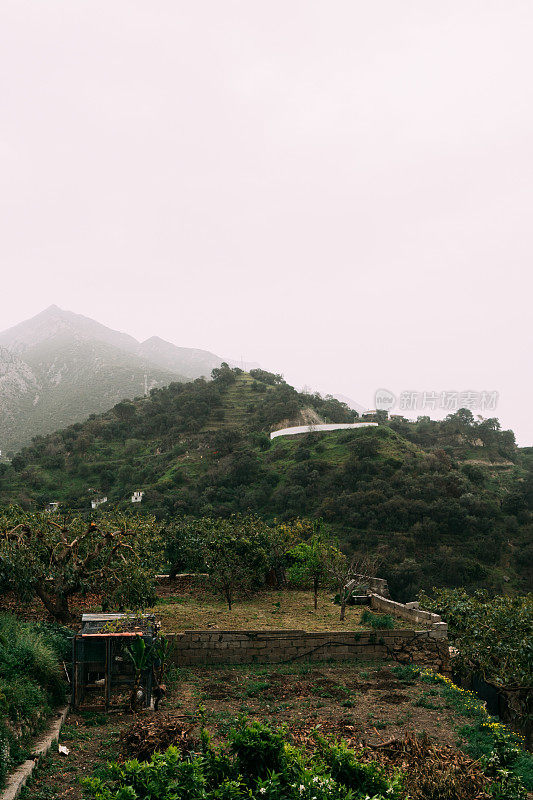 梯田和稀疏的房屋点缀在西班牙青翠的山坡上，被晨雾遮蔽