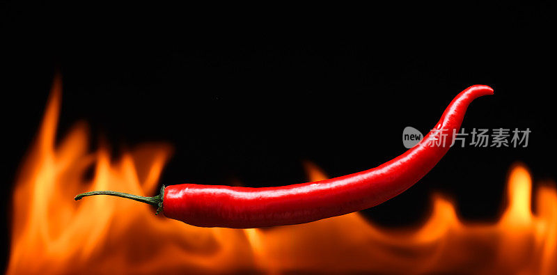 红辣椒，在燃烧的火的背景上，火焰在黑色的背景上