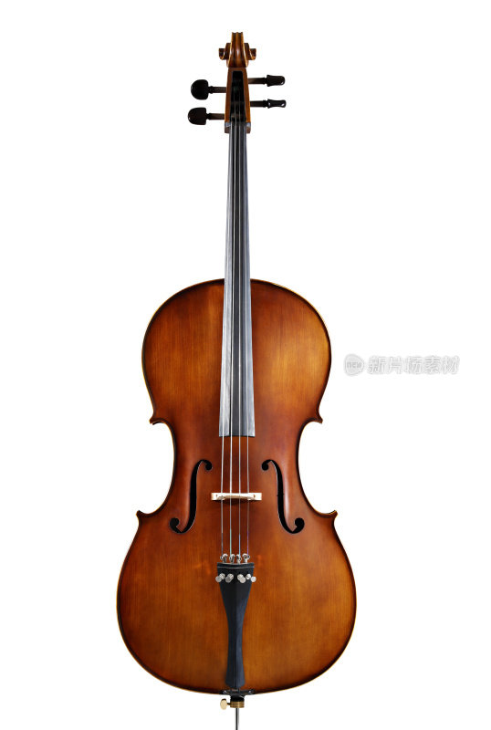 白色背景上的一个木制大提琴