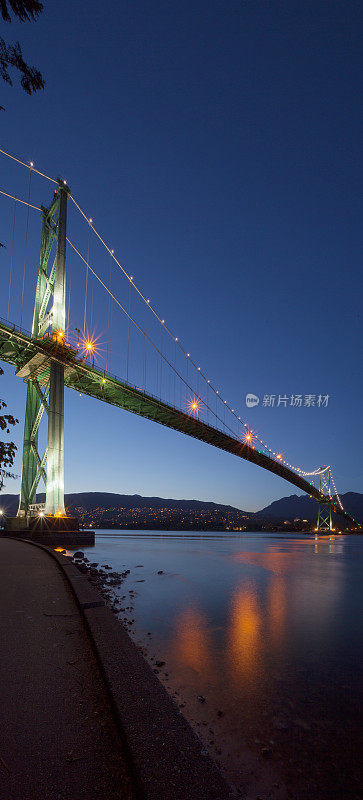 狮子门大桥夜景