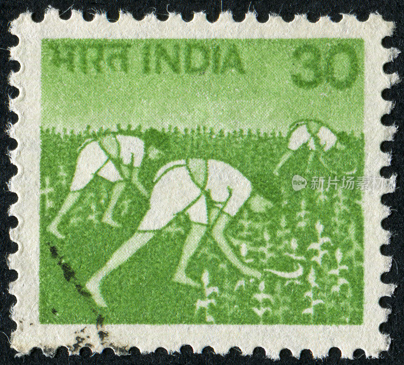 印度收集邮票