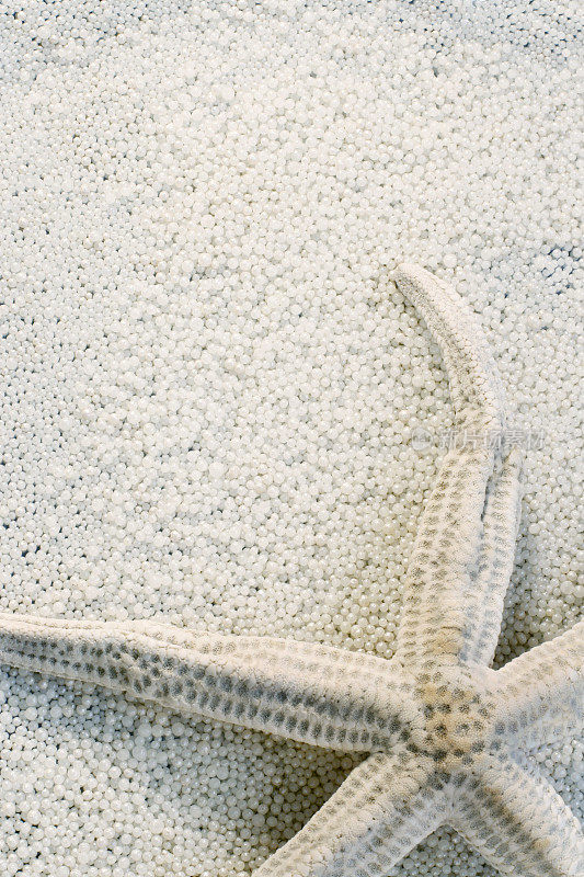 白色海星在垂直背景的浴珠。
