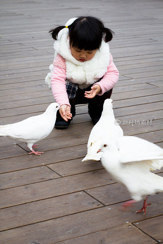 小女孩喂鸽子
