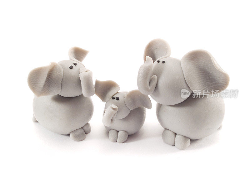 大象的家族