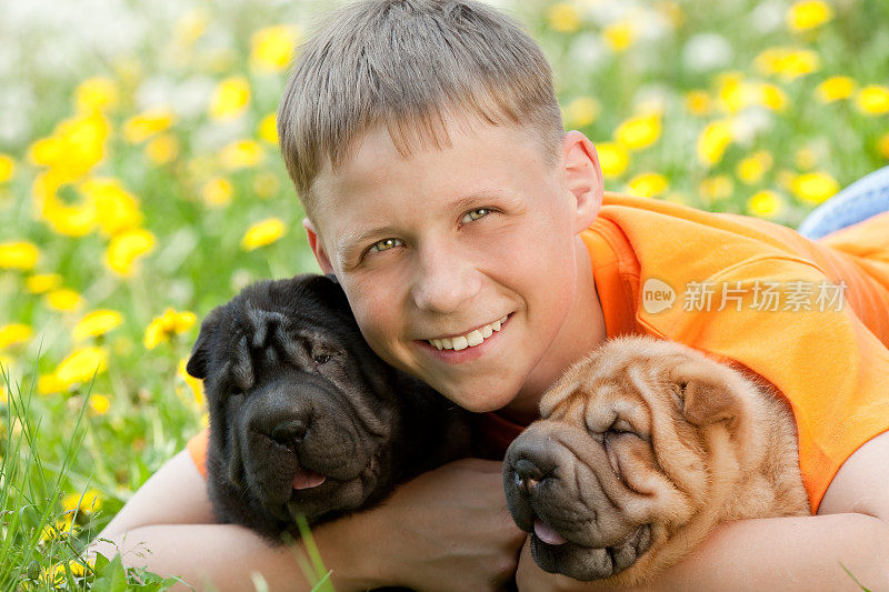快乐男孩和两只沙皮狗。