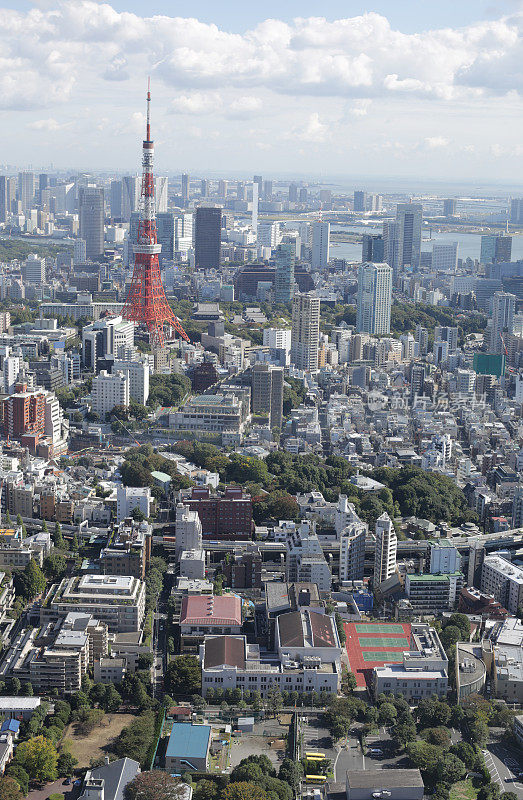 秋天的日本东京塔和港区
