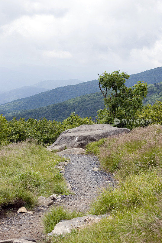 的阿巴拉契亚山道