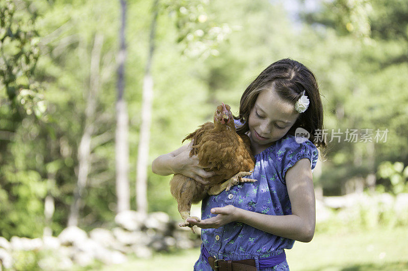 拿着鸡的小女孩