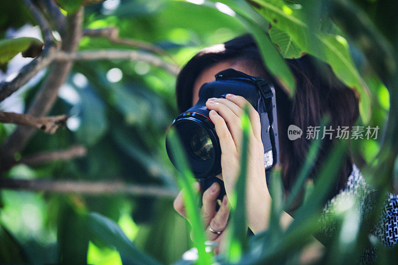 摄影师在郁郁葱葱的树叶中拍摄
