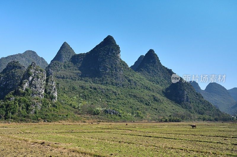 喀斯特山峰和稻田