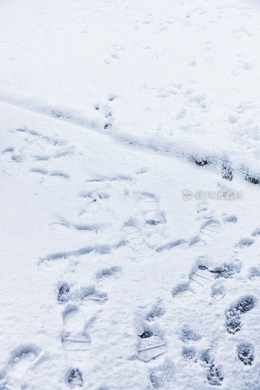 冬季雪地脚印和狗爪脚印