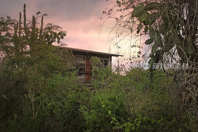 加拉帕戈斯群岛的棚屋