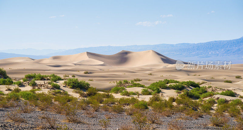 美国加利福尼亚州死亡谷牧豆树平原沙丘